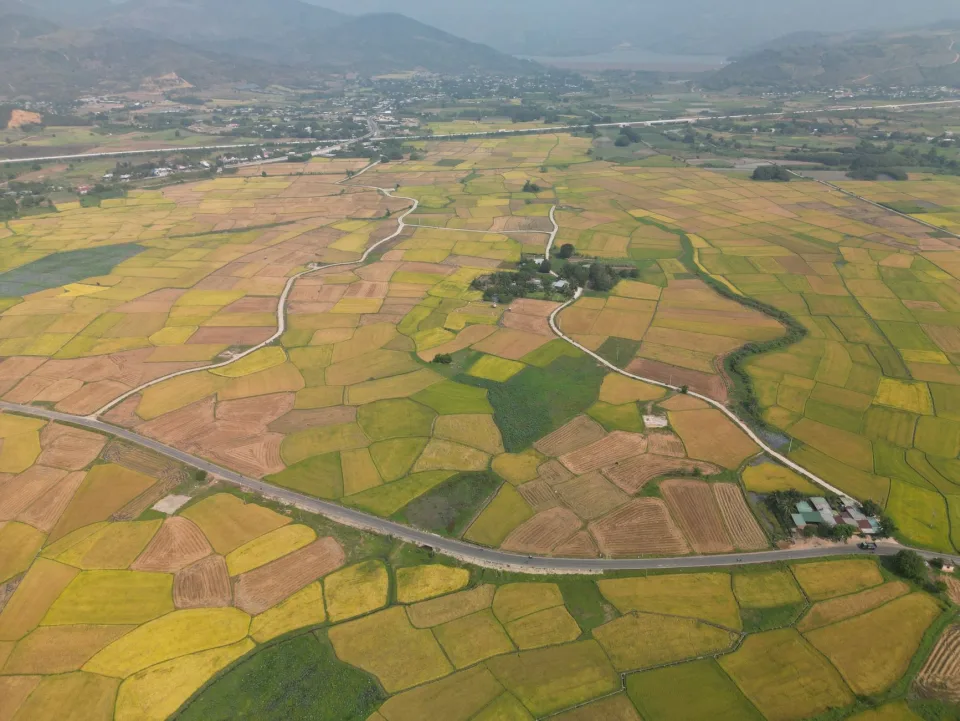 Kho gạo của Đinh Văn Đệ